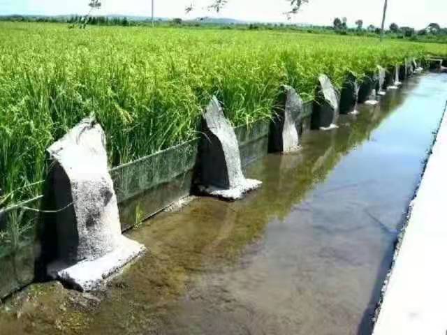 石园米业